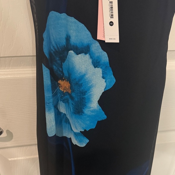 NWT Aqua Blue Mesh Floral Maxi Dress size   XS - Picture 6 of 8